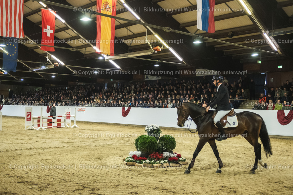 20240302_Hengstvorstellung_Marbach_TOMsPiC_0220 | equistock