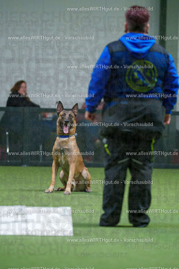 7R503735 | Professionelle Tierfotografie in Mönchengladbach von Daniel Wirth (allesWIRTHgut). Liebevolle & natürliche Bilder von Hunden & Katzen für unvergessliche Erinnerungen.