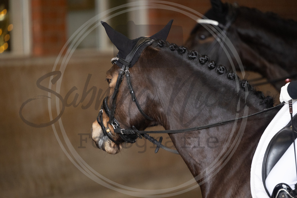 994A9026 | sabrinanicolaifotografie - Realisiert mit Pictrs.com