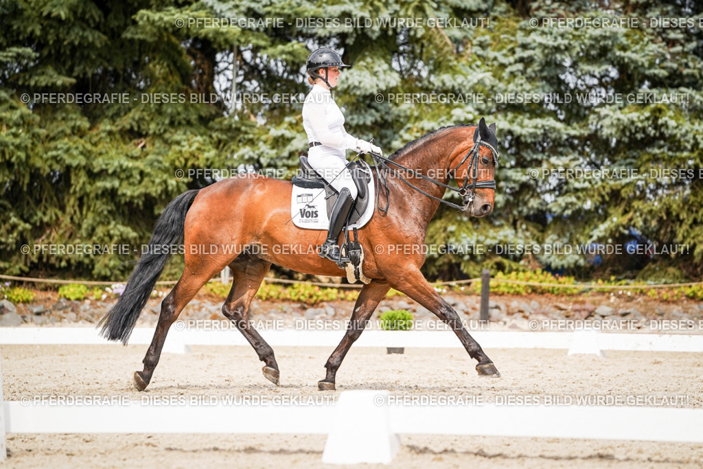 DSC06799 | Pferdegrafie