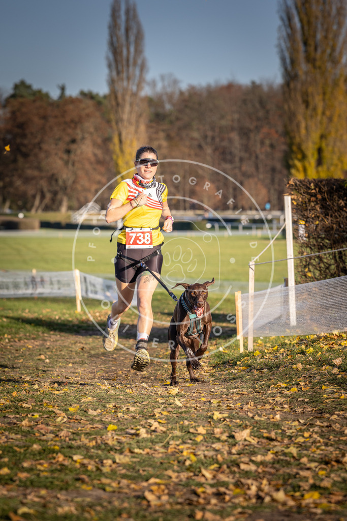 CaniXpix_DV3A2180 | Hundefotografie, Tierfotograf, Pfotenfotografie, Fotoshooting Hund, Hunde Portrait, Hundesport, Hundeportraits, Heideshooting, Hunde, Sportfotograf, Hundefotograf, Turnierhundsport, THS,  - Realisiert mit Pictrs.com