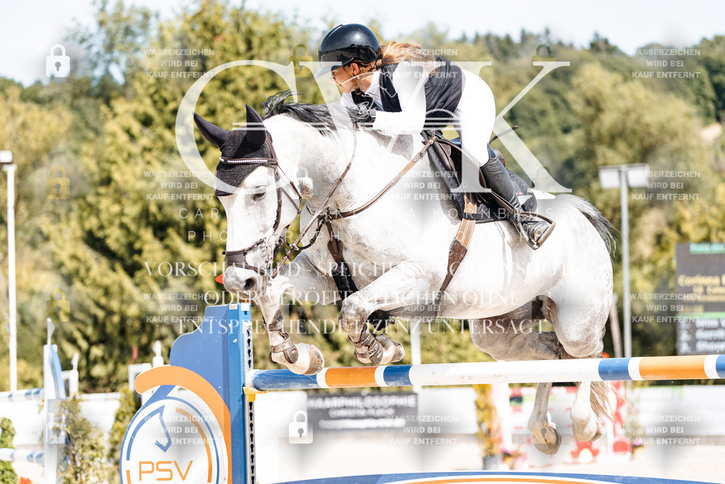 CK905063 | Turnierfotografie Pferdefotografie Trier Rheinland-Pfalz Pferdesport Reitsport Tierfotografie Sportfotografie Pferdevideo Pferdevideografie Equestrianvideography equestrianphotography  - Realisiert mit Pictrs.com