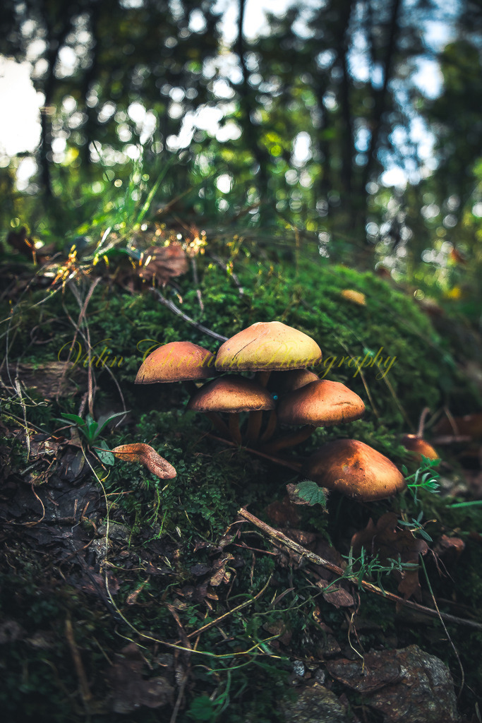 P 122 | Christian Vulin  - Realisiert mit Pictrs.com