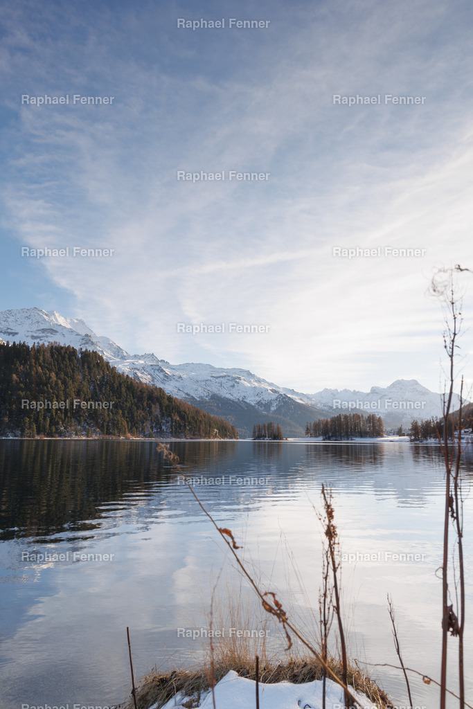 Winterreflexion – Lej da Champfèr im Licht | An einem klaren Wintertag zeigt sich der Lej da Champfèr von seiner stillsten Seite: glattes Wasser, zarte Gräser im Vordergrund und die schneebedeckten Berge im weichen Nachmittagslicht. Eine Komposition voller Ruhe, Weite und Licht – perfekt für dein Zuhause oder Büro als hochwertiger Fine Art Print.