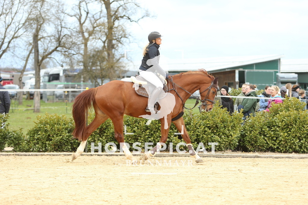 DL2Q2123 | Willkommen bei Brunnmayr - Design & Fotografie – Ihrem Spezialisten für Reitturniere und Pferdeveranstaltungen in Oberösterreich, Salzburg und Bayern! Seit über 17 Jahren sind wir leidenschaftlich dabei.