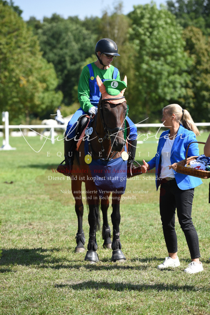 DSC_0475 | Pferde- und Turnierfotografie in Westsachsen. Pferdeportraits, Auftragszeichnungen und intuitive Kunst.