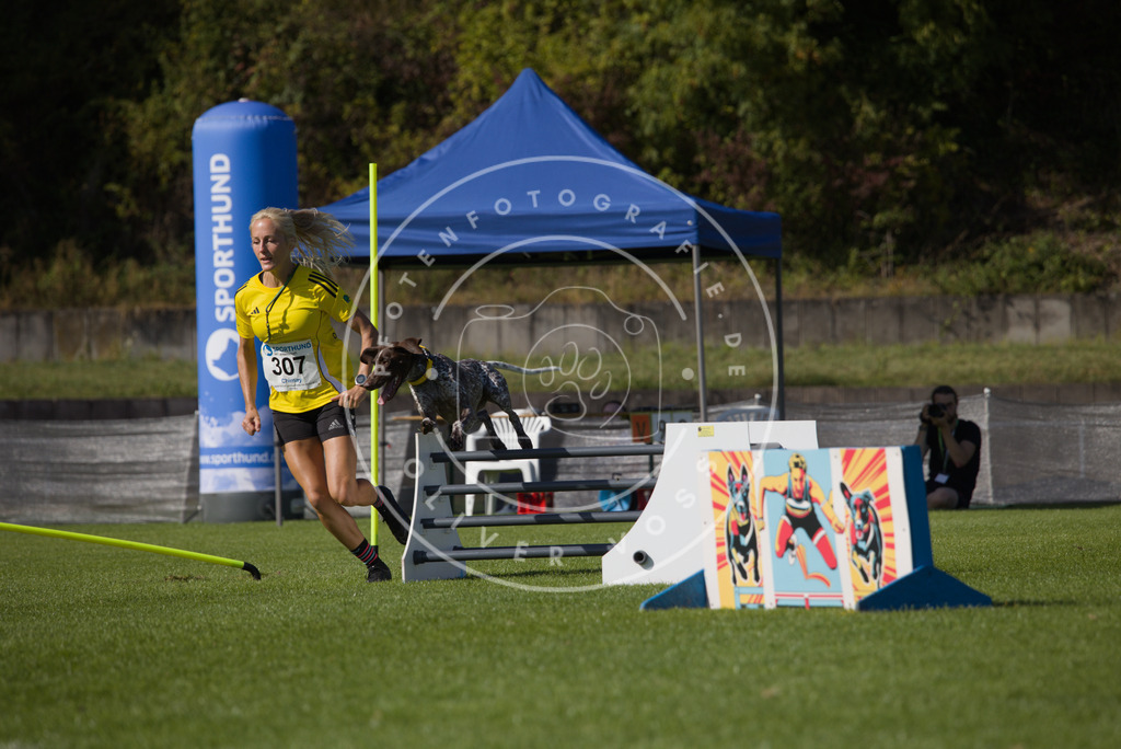 0L8A8444 | Hundefotografie, Tierfotograf, Pfotenfotografie, Fotoshooting Hund, Hunde Portrait, Hundesport, Hundeportraits, Heideshooting, Hunde, Sportfotograf, Hundefotograf, Turnierhundsport, THS,  - Realisiert mit Pictrs.com