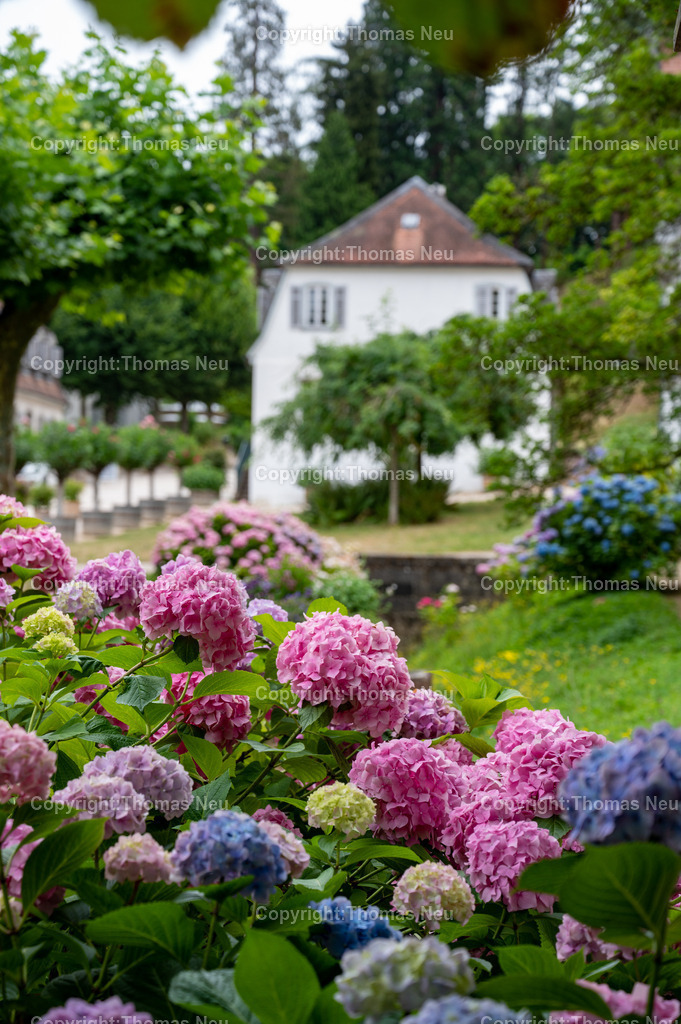 Fürstenlager_Bensheim-Auerbach_DSC_4509 | Der Staatspark Fürstenlager in Bensheim Auerbach, an der hessischen Bergstraße- ist ein wunderschöner Landschaftspark nach englischen Vorbild. Es war die Sommerresidenz der Darmstädter Fürstenfamilie die hier das "einfache Landleben" genossen. Zu jeder Jahreszeit kann man das Fürstenlager als Ausflugsziel empfehlen. Im Herrenhaus ist eine Gastronomie untergebracht. Im Sommer findet auf der Bühne vor der großen Wiese ein Opern-Air statt, 