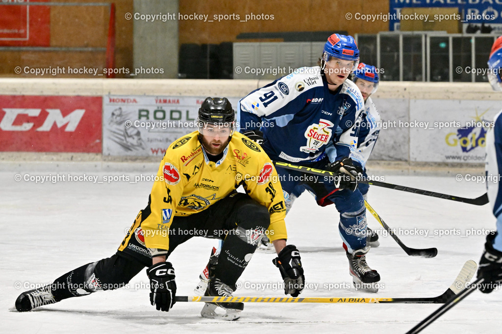 EC Hornets Spittal vs. ESC Steindorf 23.2.2024 | #38 Zorec Marco EC Hornets Spittal, #91 Kravania Kristian ESC Steindorf, EC Hornets Spittal vs. ESC Steindorf 23.2.2024, EC Hornets Spittal vs. ESC Steindorf 23.2.2024 am 23.02.2024 in Spittal an der Drau (Eissportzentrum Spittal), Austria, (Photo by Bernd Stefan)