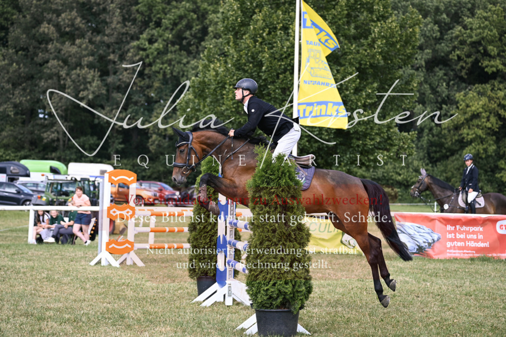 DSC_0756 | Pferde- und Turnierfotografie in Westsachsen. Pferdeportraits, Auftragszeichnungen und intuitive Kunst.