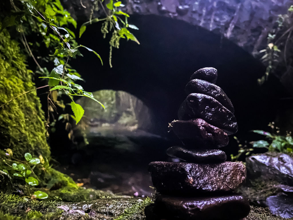 Steine - Dudenrod | Aufeinandergestapelte Steine bilden einen kleinen Turm, der vor dem dunklen Durchlass der Schwarzbrücke besonders eindrucksvoll zur Geltung kommt.Wer mit offenen Augen durch die Natur streift, entdeckt oft Überraschendes. Rund um Dudenrod laden selbst unscheinbare Fundstücke dazu ein, die Umgebung aus einer anderen Perspektive zu betrachten. Mal entstehen reizvolle Kontraste, mal überraschende Formen oder kleine Arrangements, die der Fantasie freien Lauf lassen. Dabei zeigt sich, dass es nicht viel braucht, um aus alltäglichen Dingen etwas Besonderes werden zu lassen. - Realisiert mit Pictrs.com