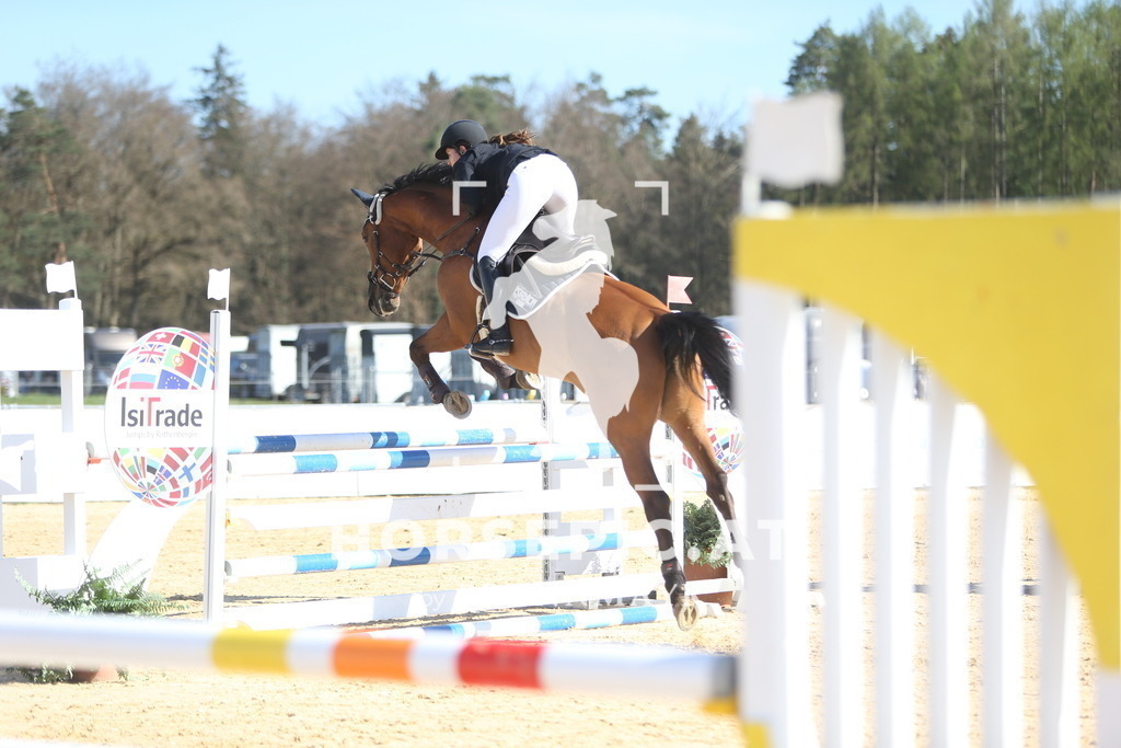 DL2Q5730 | Willkommen bei Brunnmayr - Design & Fotografie – Ihrem Spezialisten für Reitturniere und Pferdeveranstaltungen in Oberösterreich, Salzburg und Bayern! Seit über 17 Jahren sind wir leidenschaftlich dabei.