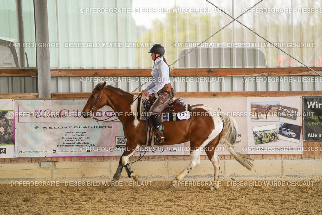 DSC08699 | Pferdegrafie