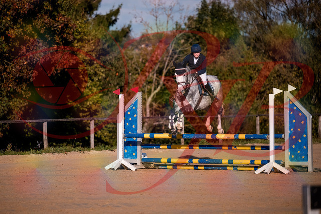 2026_10_03_Siefer-Hof_171412_Z81_11568295 | Professionelle Reitsport-, Turnier- und Eventfotografie von Robert Broda. Galerien mit ausgewählten und bearbeiteten Bildern direkt online ansehen und bestellen.