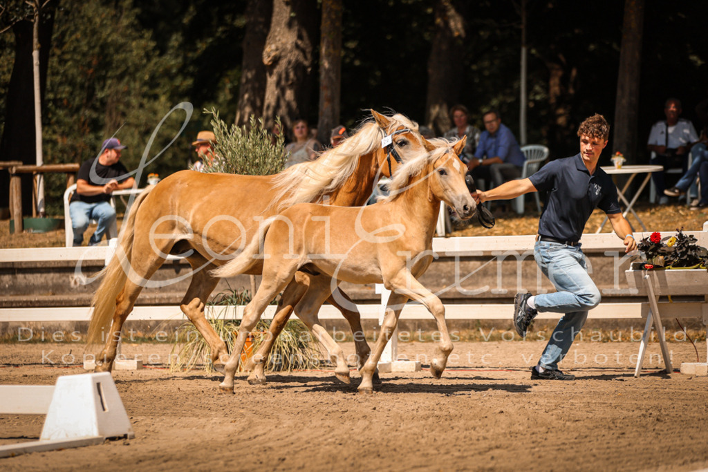 06.DoH00020 | Leoni Ertmer Photography - Realisiert mit Pictrs.com