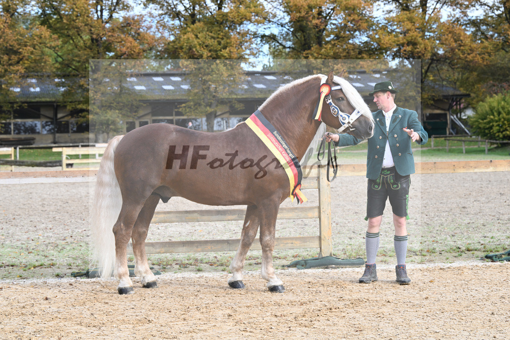 Kat-Nr. 90 Venturin_Hollinger u Ober_53223095 | hf-fotografie - Realisiert mit Pictrs.com