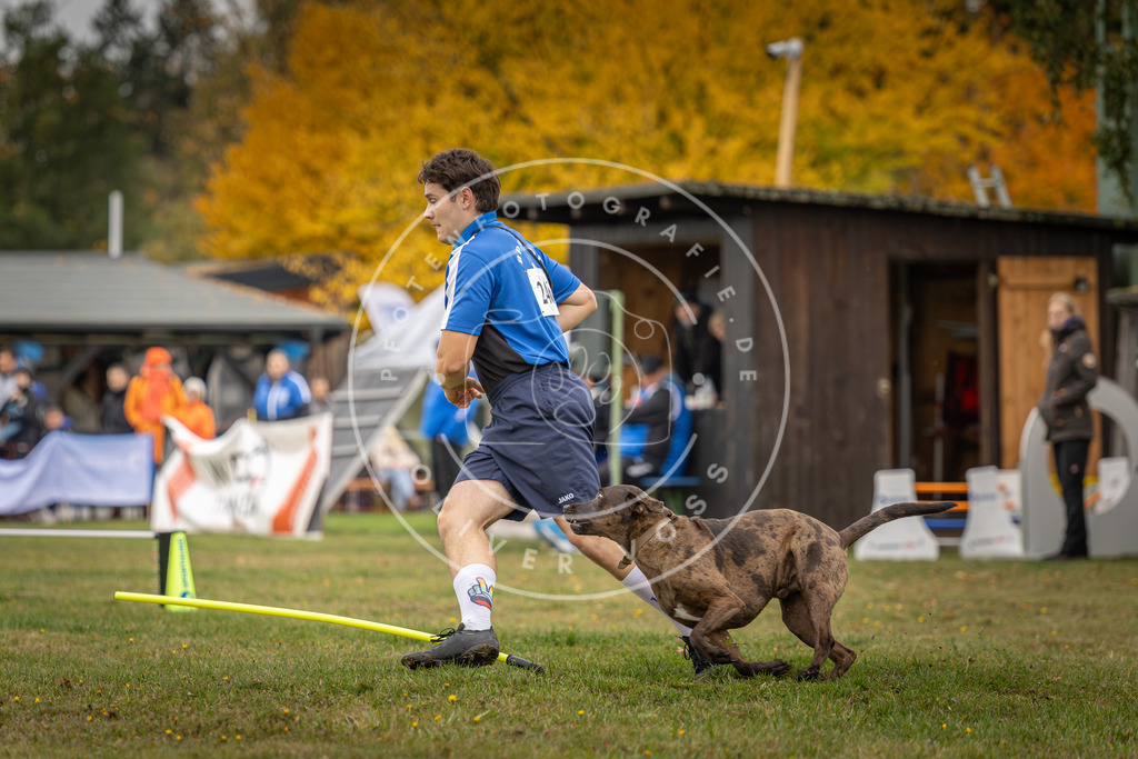Pfotenfotografie_DV3A5125 | Hundefotografie, Tierfotograf, Pfotenfotografie, Fotoshooting Hund, Hunde Portrait, Hundesport, Hundeportraits, Heideshooting, Hunde, Sportfotograf, Hundefotograf, Turnierhundsport, THS,  - Realisiert mit Pictrs.com