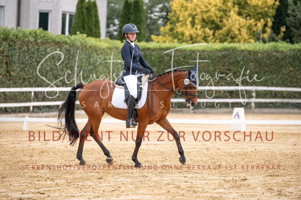 Schugtsche-Aluta25-40.DressurprfA_-365 | Schugtsche Fotografie - Realisiert mit Pictrs.com