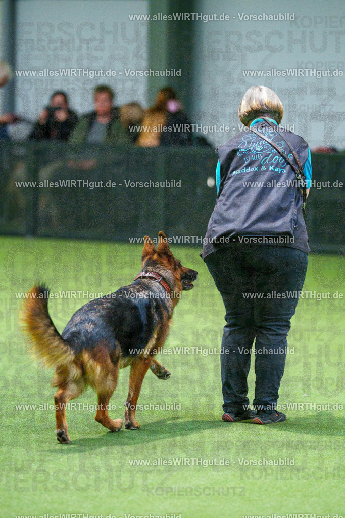 7R507937 | Professionelle Tierfotografie in Mönchengladbach von Daniel Wirth (allesWIRTHgut). Liebevolle & natürliche Bilder von Hunden & Katzen für unvergessliche Erinnerungen.