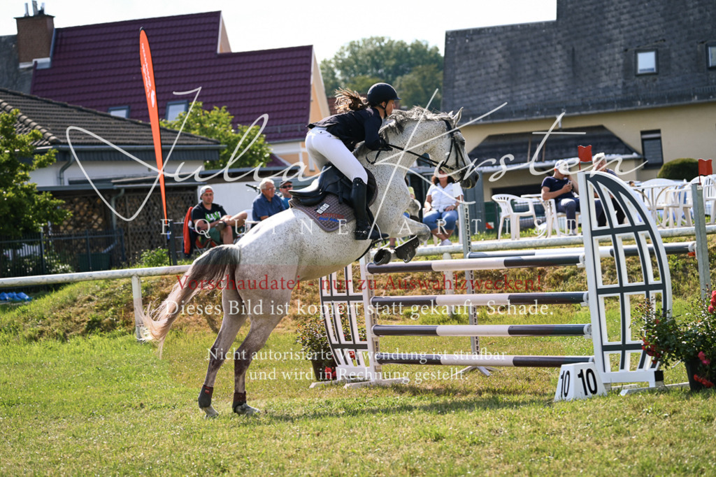 DSC_1071 | Pferde- und Turnierfotografie in Westsachsen. Pferdeportraits, Auftragszeichnungen und intuitive Kunst.