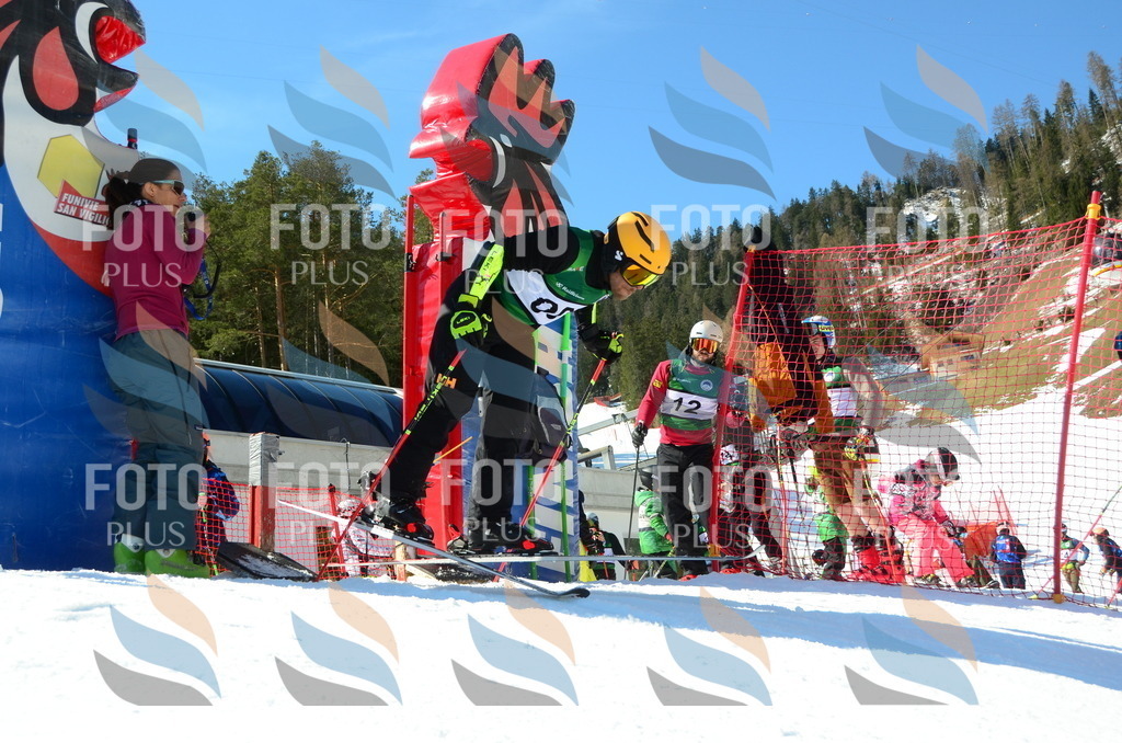 C6720 | holidayphoto