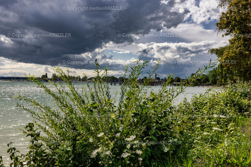 _J3A1971 | medienkrizzler - Realisiert mit Pictrs.com