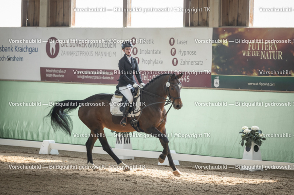 _D5A5464 | Emotionale Pferde- & People-Fotografie rund um Heidelberg, Leimen & Umgebung. Natürliche Fotos von Pferd, Mensch & Familie. Jetzt Termin sichern!