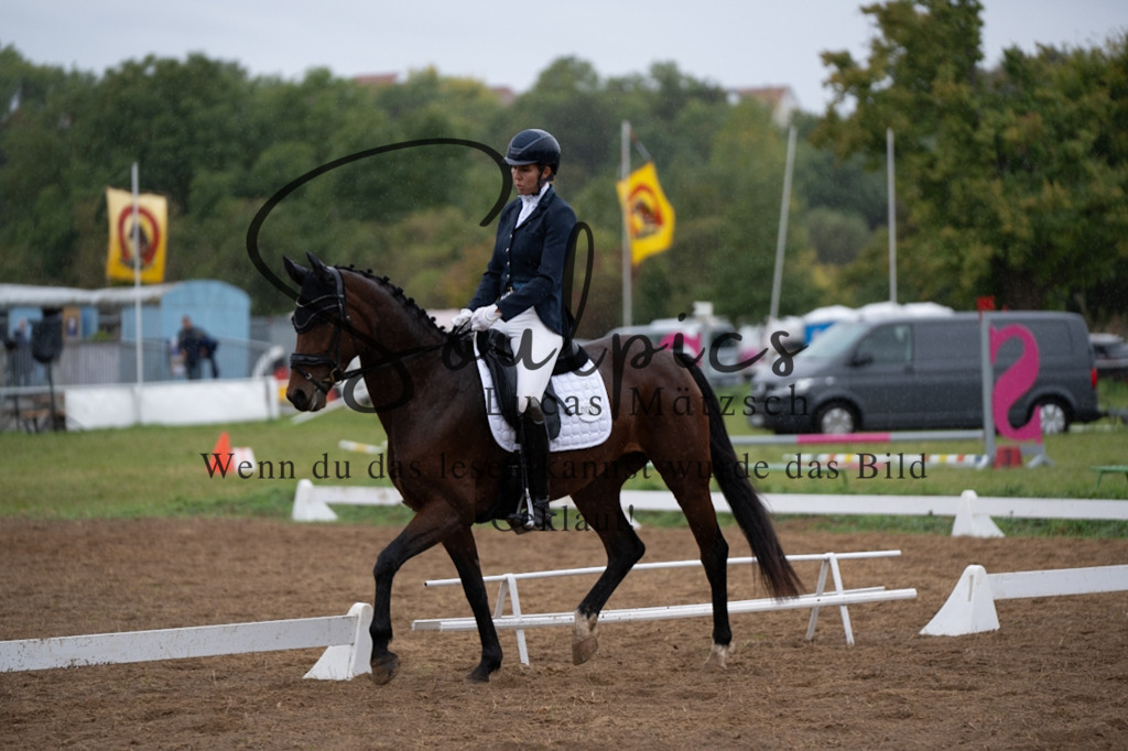 A7V05693 | Pferdefotograf