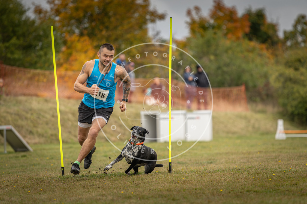 Pfotenfotografie_DV3A5334 | Hundefotografie, Tierfotograf, Pfotenfotografie, Fotoshooting Hund, Hunde Portrait, Hundesport, Hundeportraits, Heideshooting, Hunde, Sportfotograf, Hundefotograf, Turnierhundsport, THS,  - Realisiert mit Pictrs.com