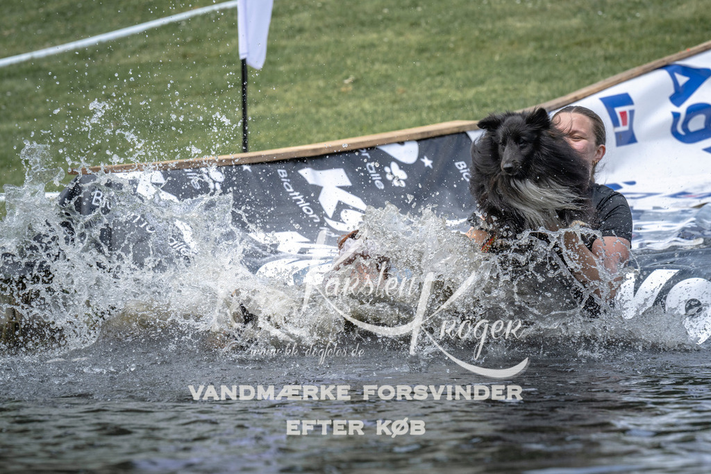 1128_ZZ92329 | kk-dogfotos