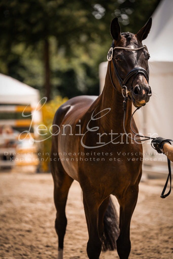 2. Fr00204 | Leoni Ertmer Photography - Realisiert mit Pictrs.com