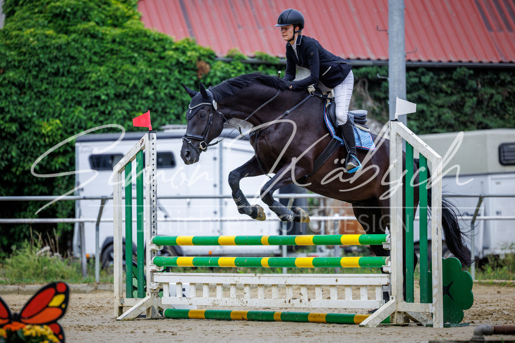 20260705-_3LI3782 | Tierfotografie Pferde, Hunde, Katzen, Haustiere.
Turnierfotografie Reitturniere, Reiten, Springreiten, Dressur in Hanau, dem Main-Kinzig-Kreis und dem Rhein-Main- Gebiet um Frankfurt