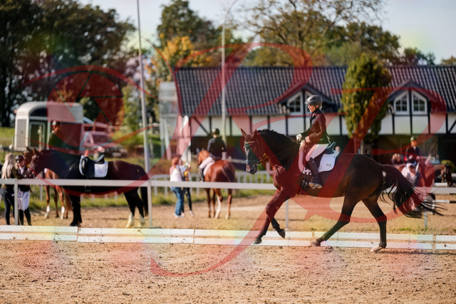 2026_10_03_Siefer-Hof_133657_Z63_98954069 | Professionelle Reitsport-, Turnier- und Eventfotografie von Robert Broda. Galerien mit ausgewählten und bearbeiteten Bildern direkt online ansehen und bestellen.