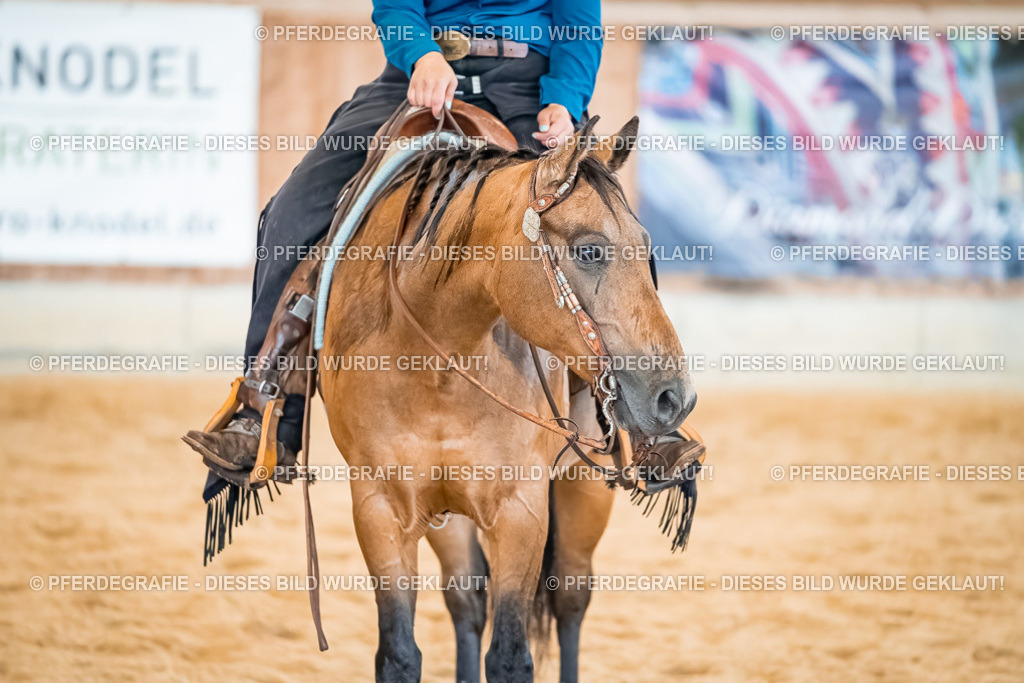 DSC00642 | Pferdegrafie