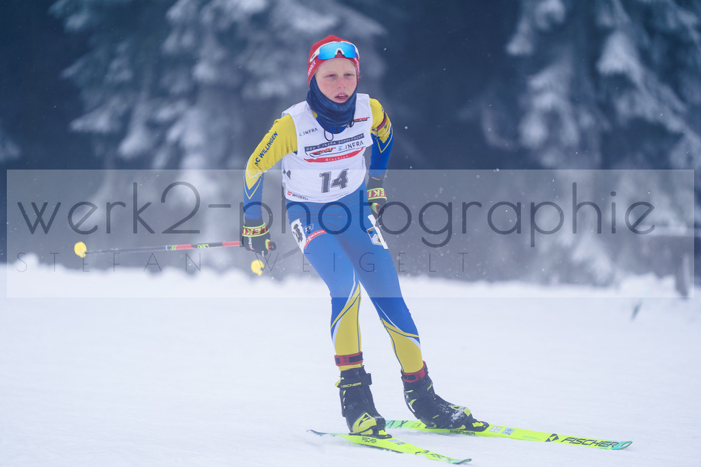 DSC Altenberg | 2. DSV E.INFRA Schülercup Biathlon in der SPARKASSEN-Arena Altenberg am 23. - 25. Januar 2026