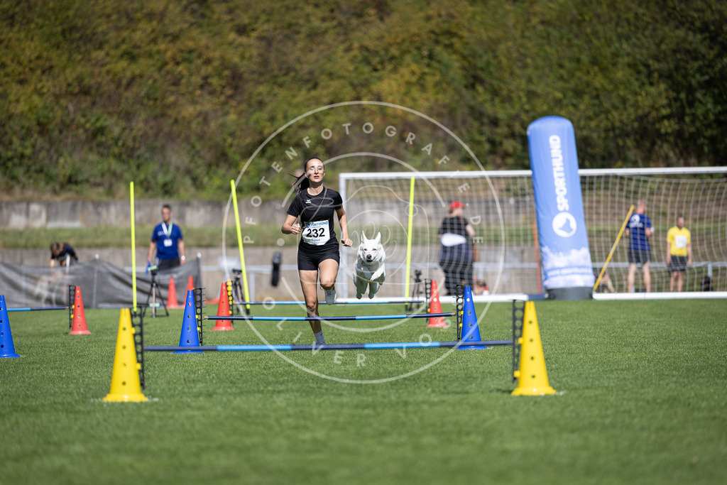 Pfotenfotografie_DV3A5715 | Hundefotografie, Tierfotograf, Pfotenfotografie, Fotoshooting Hund, Hunde Portrait, Hundesport, Hundeportraits, Heideshooting, Hunde, Sportfotograf, Hundefotograf, Turnierhundsport, THS,  - Realisiert mit Pictrs.com