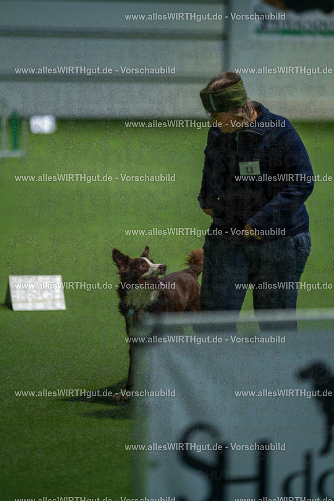 7R505026 | Professionelle Tierfotografie in Mönchengladbach von Daniel Wirth (allesWIRTHgut). Liebevolle & natürliche Bilder von Hunden & Katzen für unvergessliche Erinnerungen.