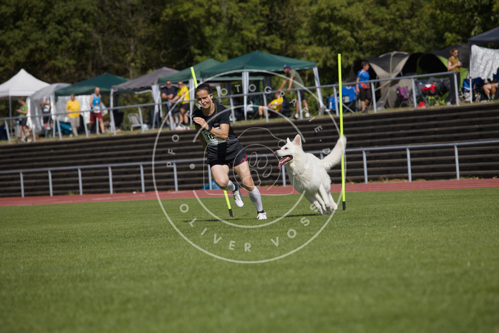 0L8A7204 | Hundefotografie, Tierfotograf, Pfotenfotografie, Fotoshooting Hund, Hunde Portrait, Hundesport, Hundeportraits, Heideshooting, Hunde, Sportfotograf, Hundefotograf, Turnierhundsport, THS,  - Realisiert mit Pictrs.com