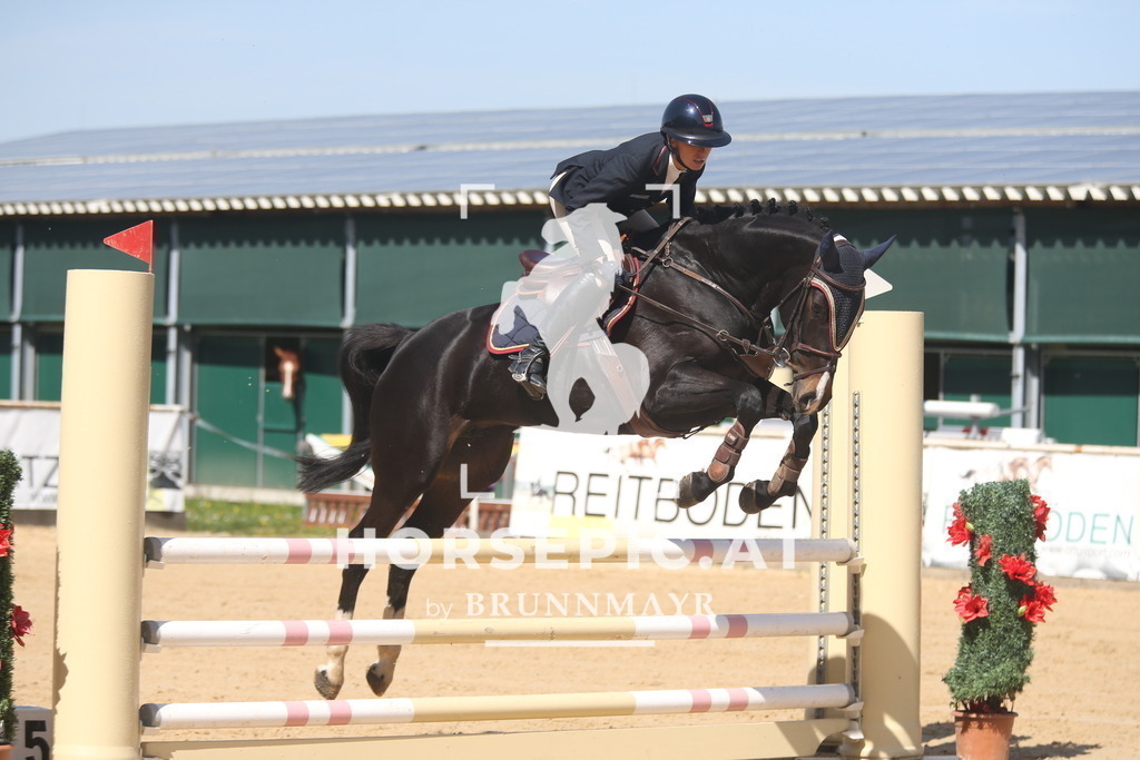 AS8V9108 | Willkommen bei Brunnmayr - Design & Fotografie – Ihrem Spezialisten für Reitturniere und Pferdeveranstaltungen in Oberösterreich, Salzburg und Bayern! Seit über 17 Jahren sind wir leidenschaftlich dabei.