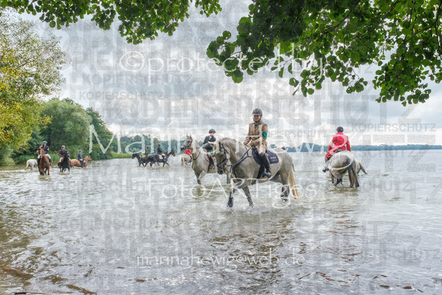 Jagd Perdoel_MarinaHewigDSCF3641 | Fotografie, FotoArt, PferdesportArt, Pferdesportfotografie, Landschaftsfotografie, Reisefotografie, Reise, Pferde - Realisiert mit Pictrs.com