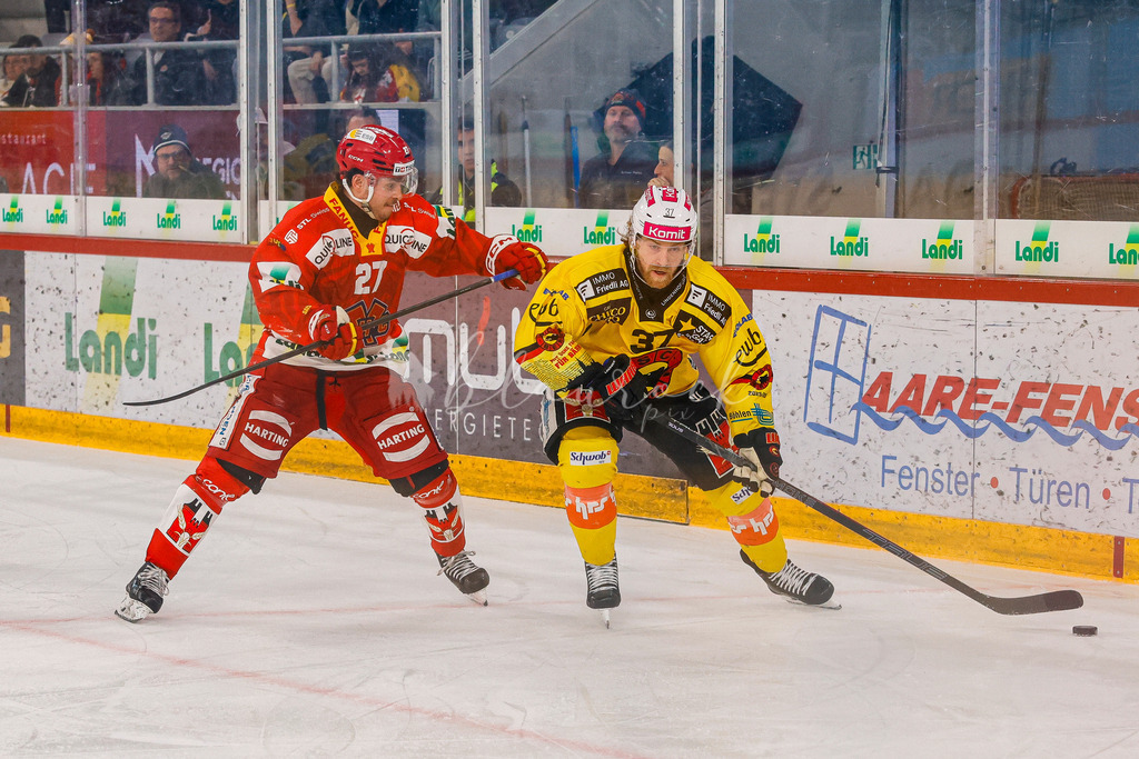 EHCB vs SCB 20260110_wb-3266 | Sportbilder, Sportfotograf, Hochzeits- und Eventfotografin, Flugshows, Portraits und Tiershooting, Aviation, Downhill, Nationalleague, Swissleague, International