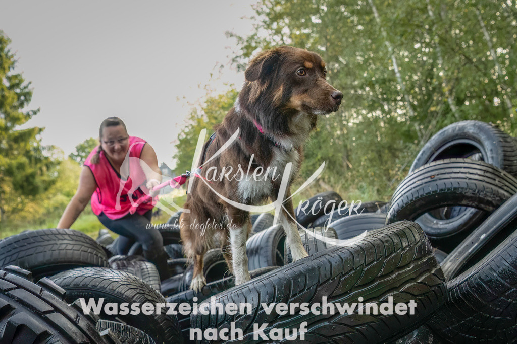 1034_ZZ94844-Bearbeitet-2 | kk-dogfotos
