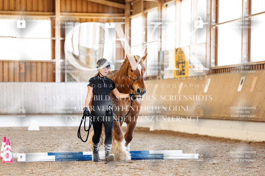 CK906344 | Turnierfotografie Pferdefotografie Trier Rheinland-Pfalz Pferdesport Reitsport Tierfotografie Sportfotografie Pferdevideo Pferdevideografie Equestrianvideography equestrianphotography  - Realisiert mit Pictrs.com