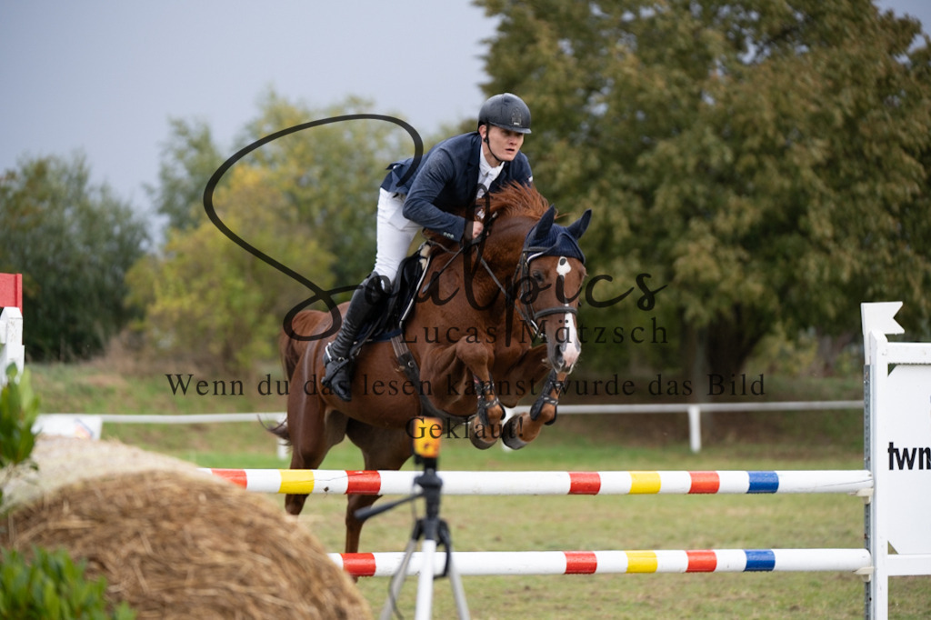 A7V07489 | Pferdefotograf