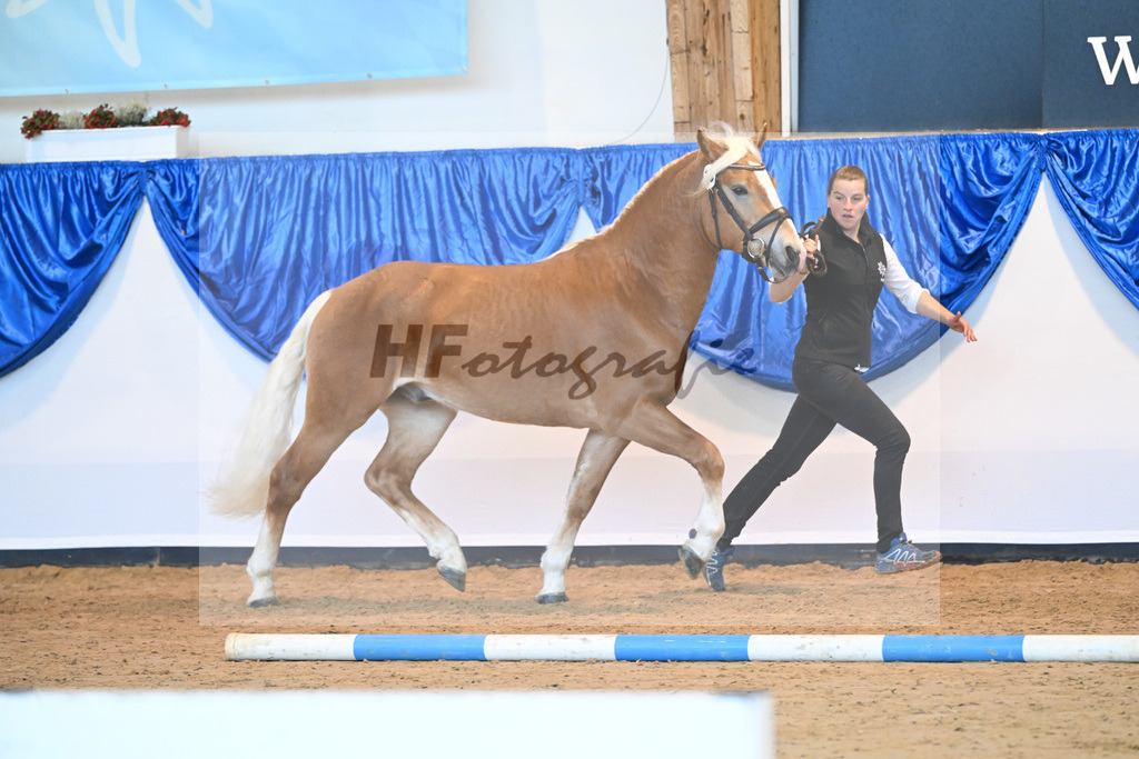 Kat-Nr. 13 nn v. Alfred_Hoegner_60220701 | hf-fotografie - Realisiert mit Pictrs.com