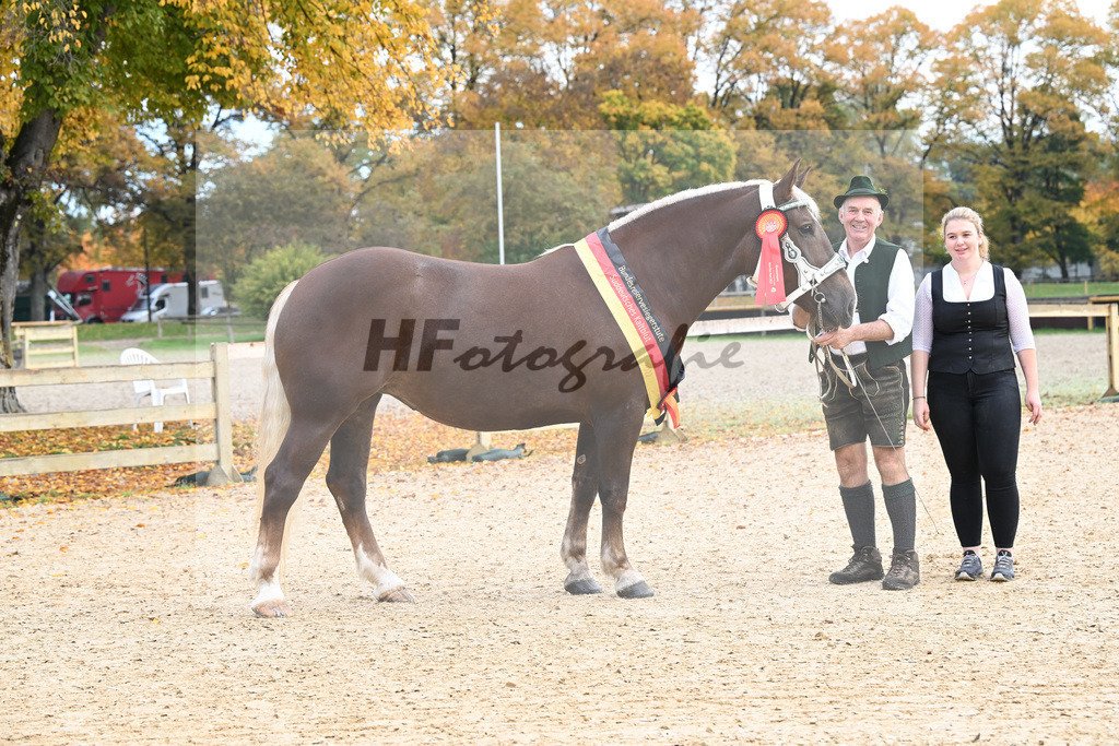 Kat-Nr. 56 Monamour_Buechl_53223013 | hf-fotografie - Realisiert mit Pictrs.com