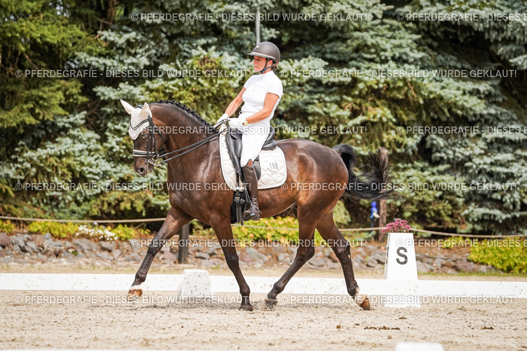 DSC06386 | Pferdegrafie