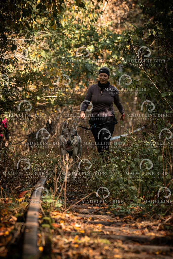 madeleinebirr.fotografie.2026.cc.hunsrueck.12-13Uhr.65 | hundefotografie-birr