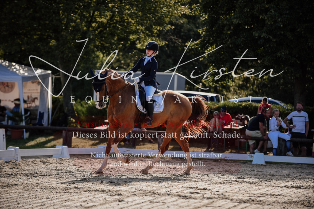 DSC_0526 | Pferde- und Turnierfotografie in Westsachsen. Pferdeportraits, Auftragszeichnungen und intuitive Kunst.