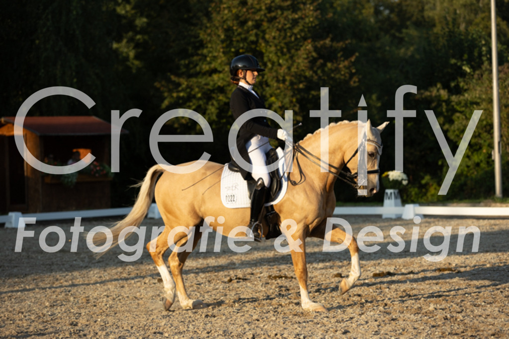 IMG_7351 | Creatify Fotografie